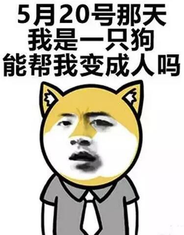 图片[2]-最新表白套路表情包,说不出的话让表情包来帮你-恋爱撩妹网-聊天话术|脱单方法|约会技巧|哄女生|牵手探探微信聊天案例|