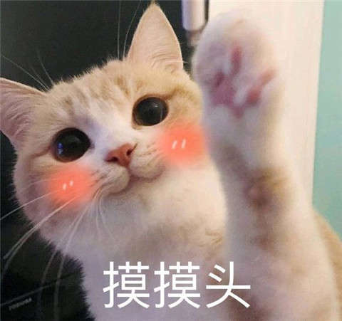 图片[4]-妹子说头疼怎么安慰?有这套表情包就行啦-恋爱撩妹网-聊天话术|脱单方法|约会技巧|哄女生|牵手探探微信聊天案例|