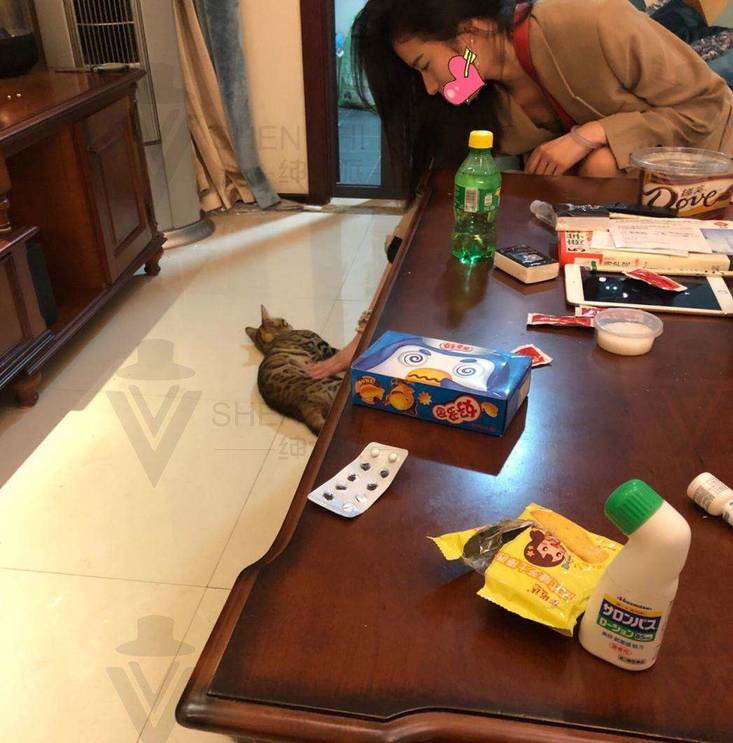 长篇狙击丨我与“小刘诗诗”长达一年的故事