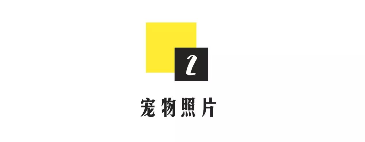 教你通过微信头像看出她是什么类型的姑娘