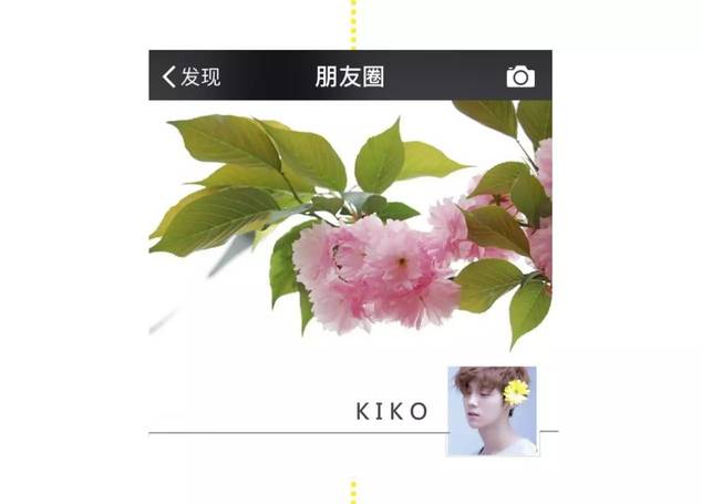 教你通过微信头像看出她是什么类型的姑娘