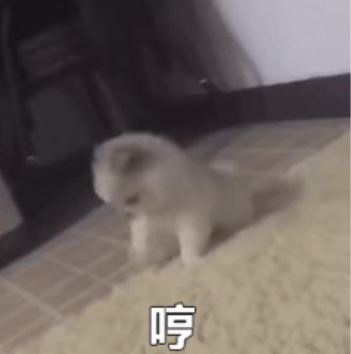 凌晨五点五十分，她敲响了小武的房门。