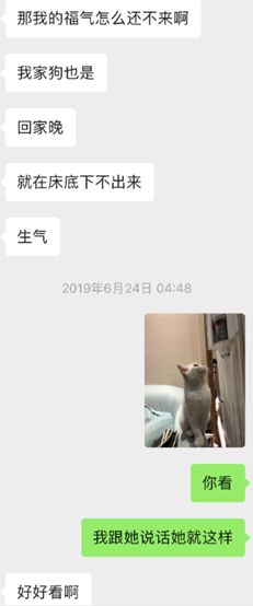 微信把妹追女生聊天案例:聊两句就不回我了，最后高冷妹子倒追我