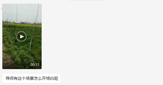 我用复制粘贴键，捕捉到了我的小可爱-追女生聊天技巧