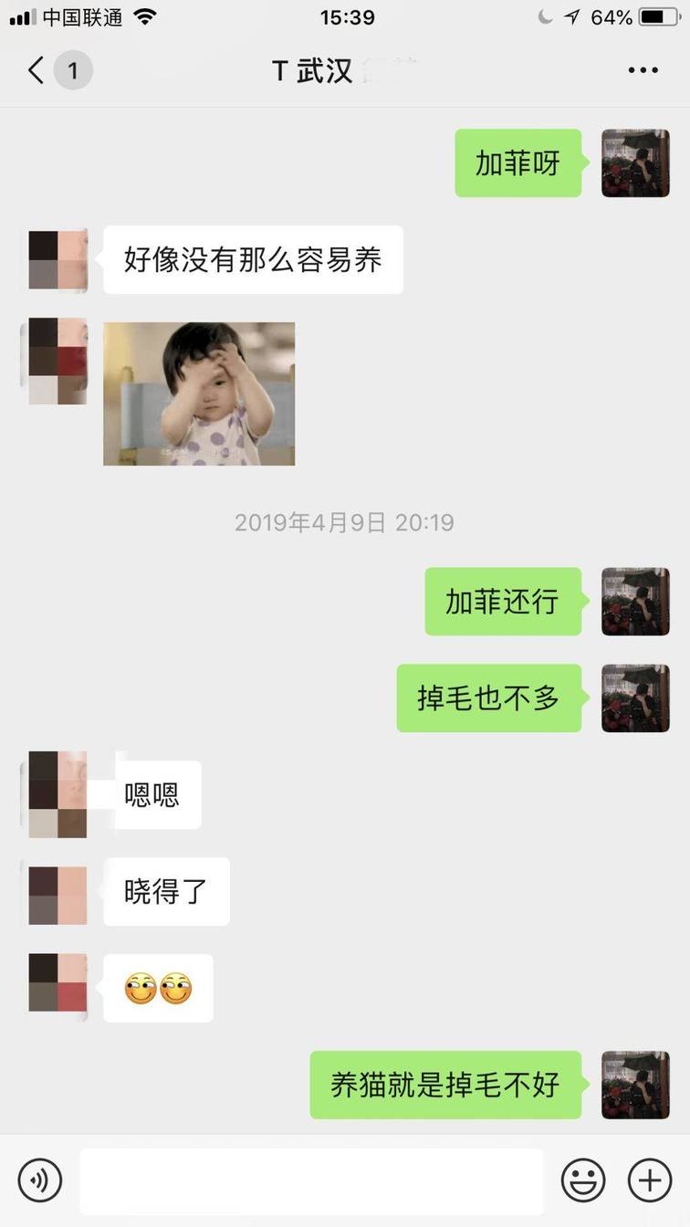 网聊”傻白甜“被表白，到底是什么这么吸引她？
