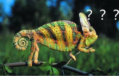 学会这几个技巧，再也不用和女生表白！