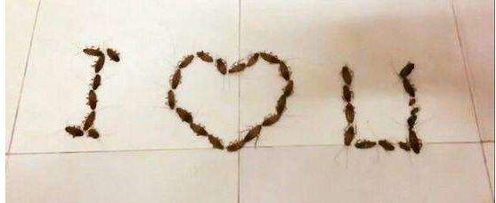 学会这几个技巧，再也不用和女生表白！