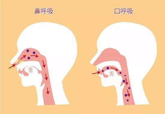 盘点导致男生变丑的几大习惯！-恋爱撩妹网-聊天话术|脱单方法|约会技巧|哄女生|牵手探探微信聊天案例|