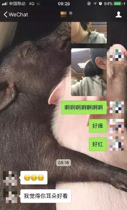 男朋友是钢铁直男，究竟是怎样的体验