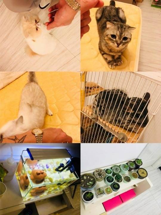 【PUA实战速推】我花了16块打了四炮。