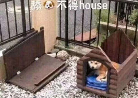 拒绝跪舔,从改变聊天方式开始-恋爱撩妹网-聊天话术|脱单方法|约会技巧|哄女生|牵手探探微信聊天案例|