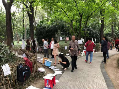 首批95后，开始加入相亲大潮…
