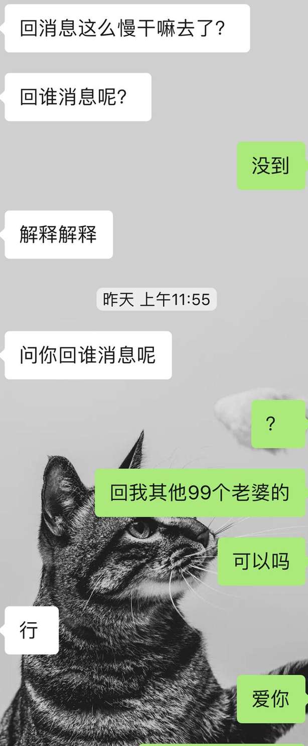 女神不喜欢舔狗,我不当舔狗女生却把我拉黑了-恋爱撩妹网-聊天话术|脱单方法|约会技巧|哄女生|牵手探探微信聊天案例|