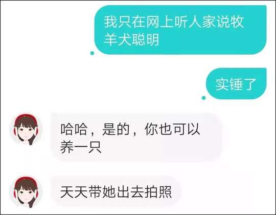 怕了?怂了?遇见高分女生不敢撩?你应该是没看过这篇文章! 怕了?怂了?遇见高分女生不敢撩?你应该是没看过这篇文章!