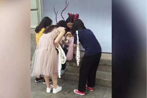 神撩妹，31岁屌丝遛狗收号15000+美女？