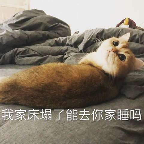 10个你该知道的一夜情真理-恋爱撩妹网-聊天话术|脱单方法|约会技巧|哄女生|牵手探探微信聊天案例|