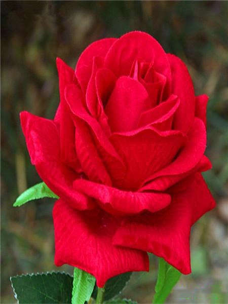 女生一般喜欢什么礼物 送什么礼物能让她开心-恋爱撩妹网-聊天话术|脱单方法|约会技巧|哄女生|牵手探探微信聊天案例|