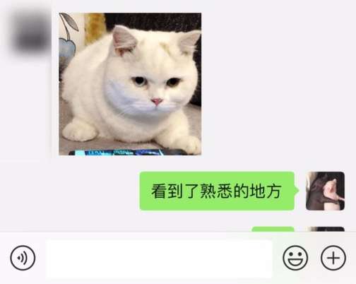 曝光撩妹高手全套聊天记录：这样调情，妹子会主动倒追你