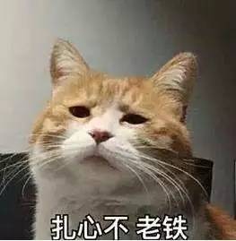 追女生被发好人卡怎么办? 追女生被发好人卡怎么办?第5张