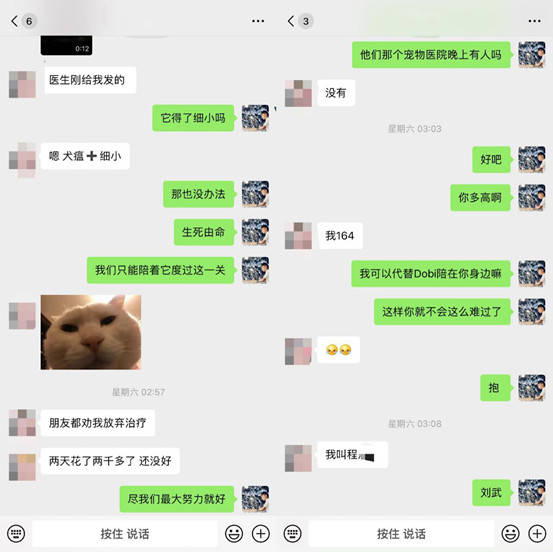 我与天使般的面孔、魔鬼般的身材的“司法系系花”的-恋爱情感故事!