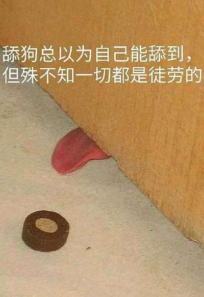 如何才能不做舔狗？4个不要需了解-恋爱撩妹网-聊天话术|脱单方法|约会技巧|哄女生|牵手探探微信聊天案例|