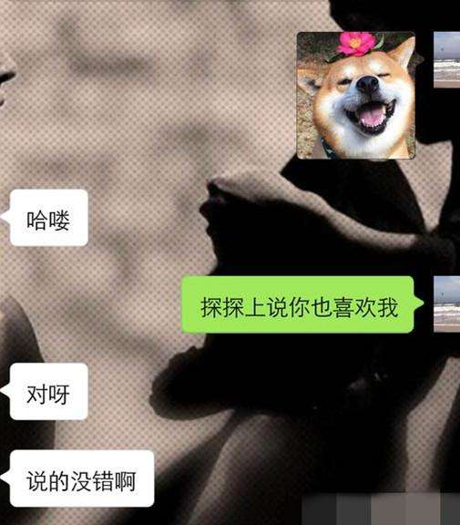 实战聊天案例：这么聊天，女生会主动约你-恋爱撩妹网-聊天话术|脱单方法|约会技巧|哄女生|牵手探探微信聊天案例|