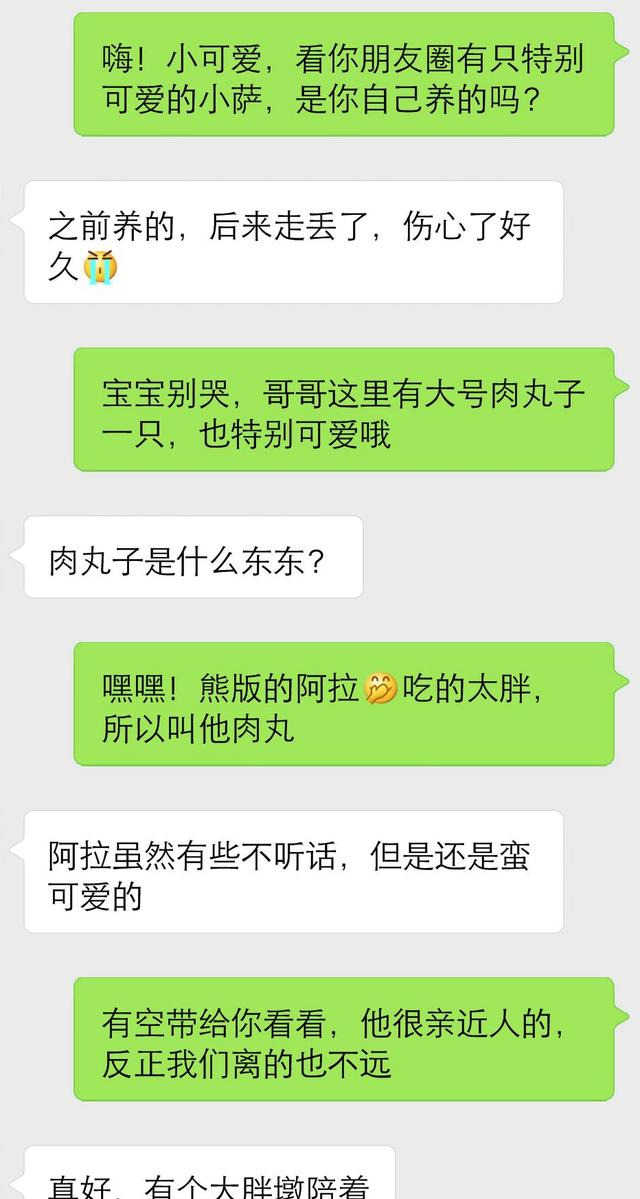 高情商男人撩妹技巧：这四个话题，轻松提升女生的好感度-恋爱撩妹网-聊天话术|脱单方法|约会技巧|哄女生|牵手探探微信聊天案例|