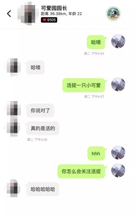 高冷女神不回我消息，我应该怎么办？