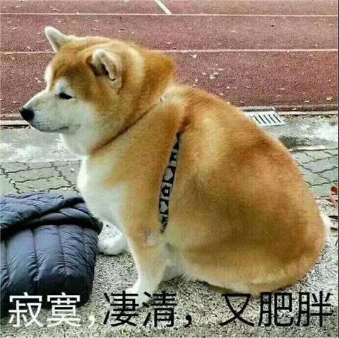 疫情下的恋爱行为大赏