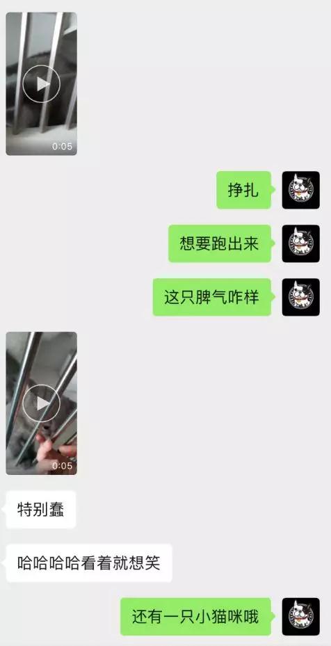 如何通过聊天判断女生对你的好感度？