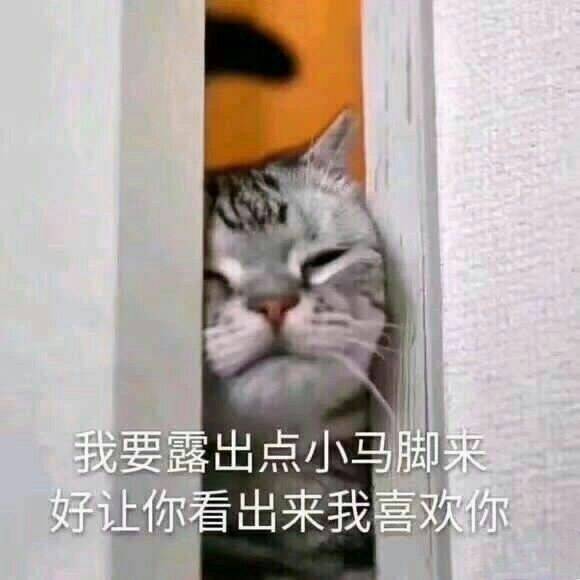 日常打招呼的表情包，不用在傻傻的问在吗-恋爱撩妹网-聊天话术|脱单方法|约会技巧|哄女生|牵手探探微信聊天案例|