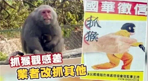 台湾捉奸公司，让每个想偷腥的男人瑟瑟发抖