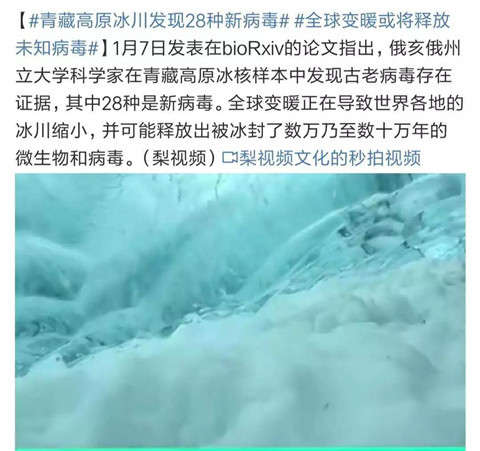 病毒启示录：超级传播者“伤寒玛丽”