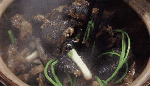 为了“补肾壮阳”，那些吃野味的人到底有多狠？