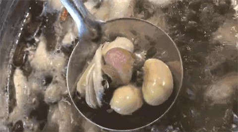 为了“补肾壮阳”，那些吃野味的人到底有多狠？
