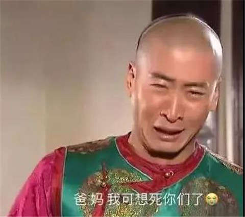 年轻人过年自救手册