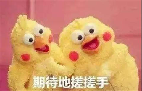 年轻人过年自救手册