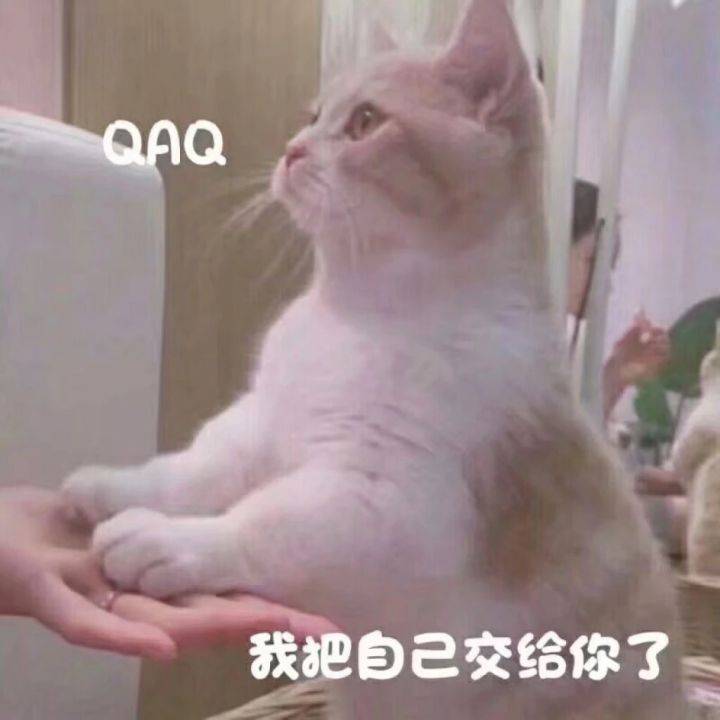 日常打招呼的表情包，不用在傻傻的问在吗