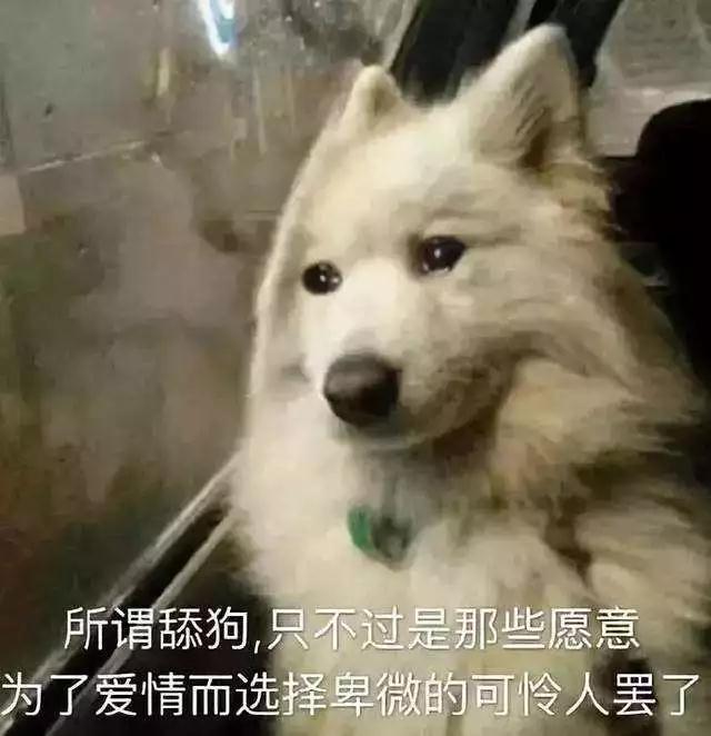 单身男性必看的撩妹聊天套路，学会的人都脱单了！