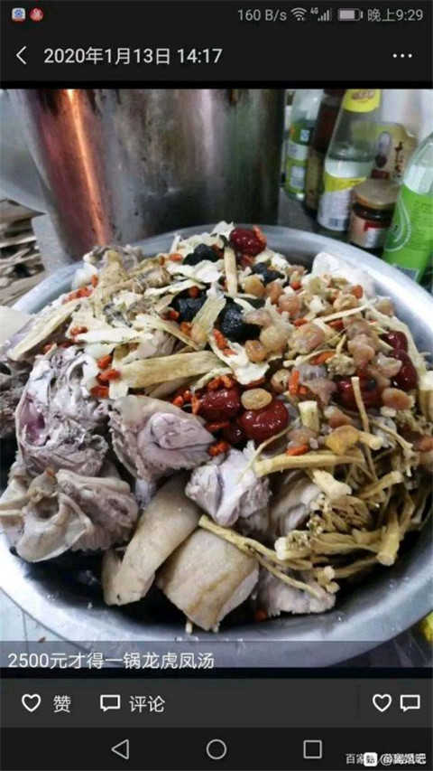 为了“补肾壮阳”，那些吃野味的人到底有多狠？