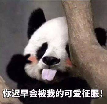 日常打招呼的表情包，不用在傻傻的问在吗