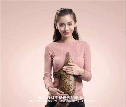 为了“补肾壮阳”，那些吃野味的人到底有多狠？