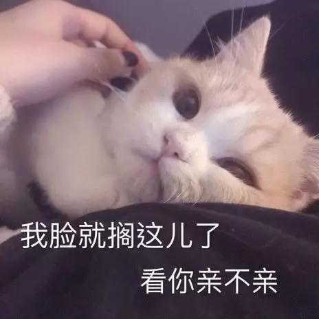 微信聊天技巧，教你如何做到“伪装”与“浅撩”