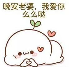 给女朋友说晚安的句子，让她带着甜蜜入睡