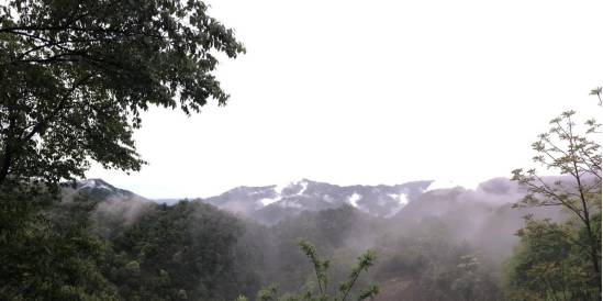 把妹泡妞案例-她知道自己迟早会死,所以活得恬不知耻 把妹泡妞案例-她知道自己迟早会死,所以活得恬不知耻