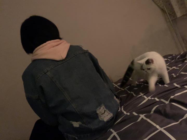 追女生实战约会聊天案例-凌晨五点五十分,她敲响了小武的房门。 追女生实战约会聊天案例-凌晨五点五十分,她敲响了小武的房门。