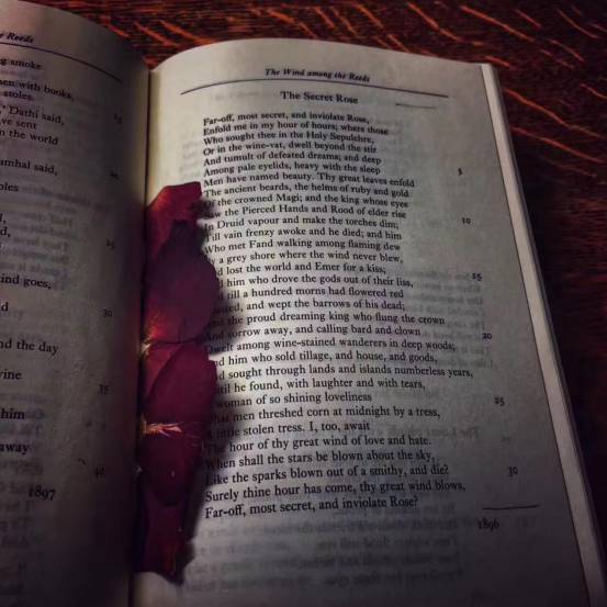 追女生聊天案例-纽约到成都,跨越1万1千公里的情缘 追女生聊天案例-纽约到成都,跨越1万1千公里的情缘