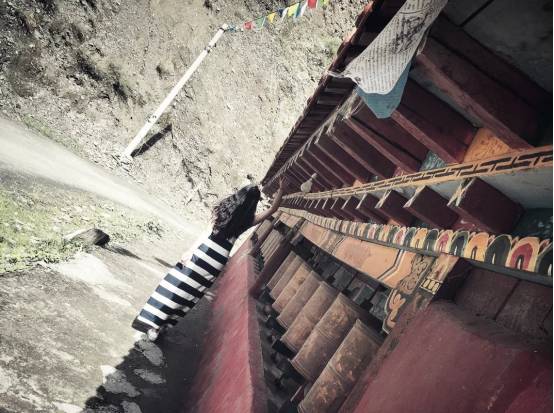 把妹泡妞案例-她知道自己迟早会死,所以活得恬不知耻 把妹泡妞案例-她知道自己迟早会死,所以活得恬不知耻